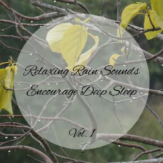 Relaxing Rain Sounds Encourage Deep Sleep Vol. 1 by Work Music Lounge