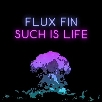 Such Is Life by Flux Fin