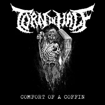 Comfort of a Coffin by Torn in Half