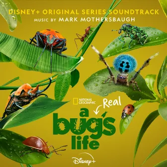 A Real Bug's Life (Original Series Soundtrack) by Mark Mothersbaugh