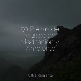 50 Piezas de Música de Meditación y Ambiente by Relajación Meditar Academie