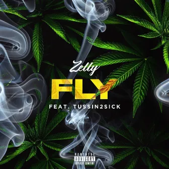 Fly by Zelly