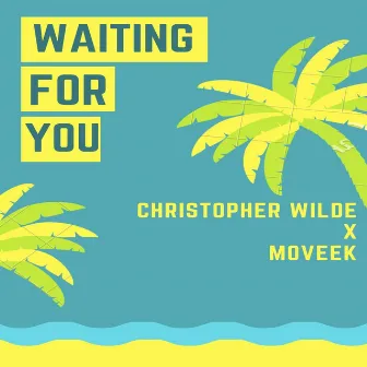 Waiting for You by Christopher Wilde