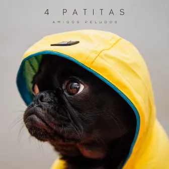 4 Patitas: Amigos Peludos by Colectivo De Música Para Perros