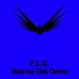 Wanna Get Down by F.L.G.