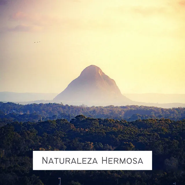 Naturaleza Hermosa: Sonidos Naturales 100% Reales, Alivio de la Migraña, Estrés y Ansiedad