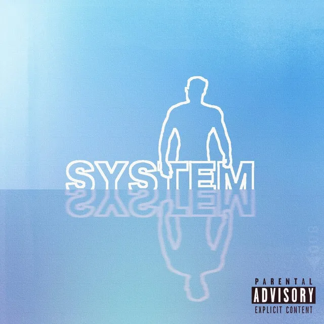 System