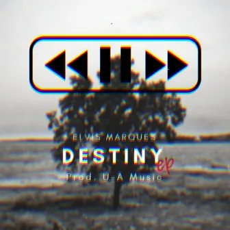 Destiny by Elvis Marques