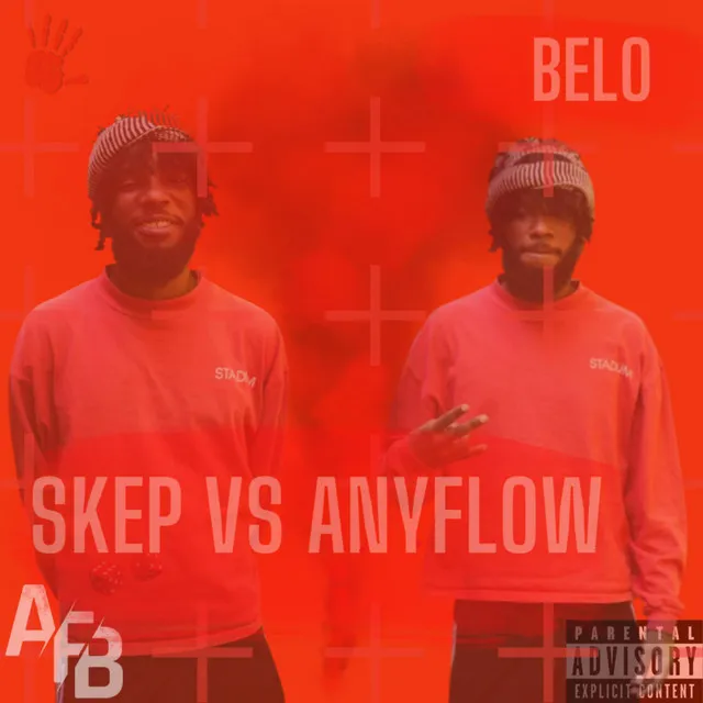 Skep Vs Anyflow