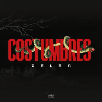 Costumbres by Galan