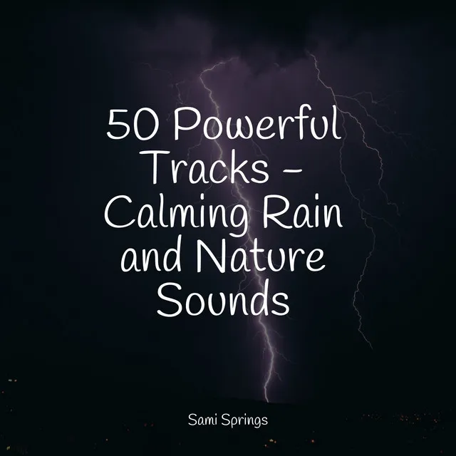 50 Powerful Tracks - Calming Rain and Nature Sounds