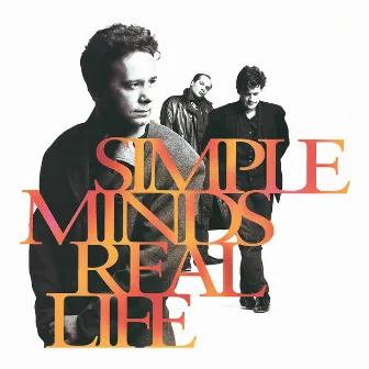 Real Life by Simple Minds