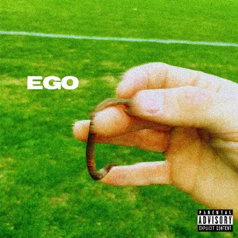 EGO by Splash Daddy