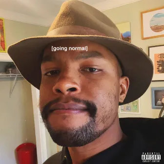 Going Normal by Matt Martians