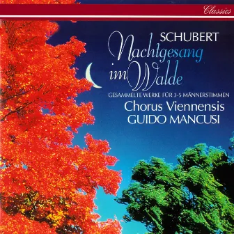 Schubert: Nachtgesang im Walde by Guido Mancusi