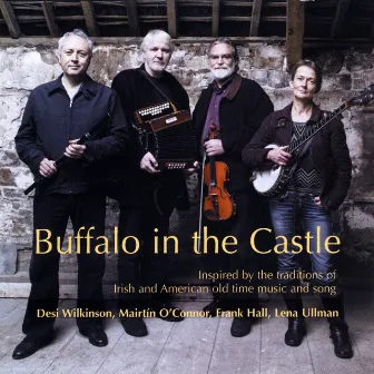 Buffalo in the Castle by Desi Wilkinson