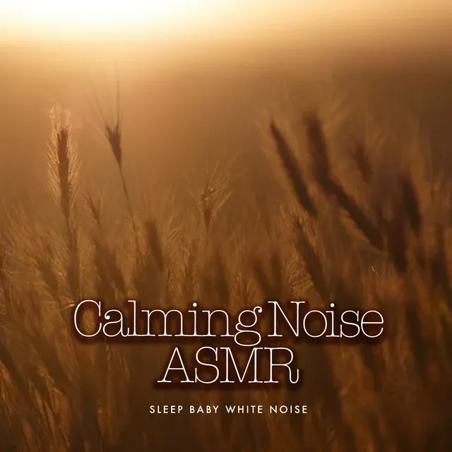 Calming Noise ASMR