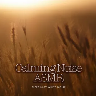 Calming Noise ASMR by Sleep Baby White Noise