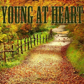 Young At Heart by Wildlife