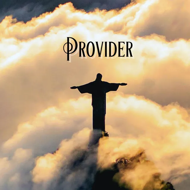 PROVIDER