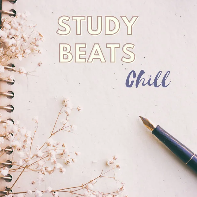 Study Beats Chill - Music for Concentration