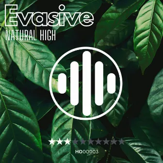 Natural High by Evasive