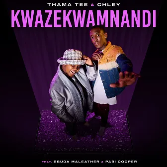 Kwazekwamnadi (feat. Sbuda Maleather, Pabi Cooper) by Thama Tee