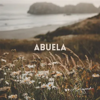 Abuela by David Peter Vestin