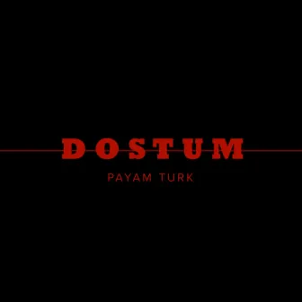 Dostum by Payam Turk