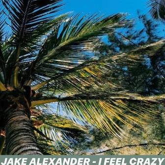 I Feel Crazy by Jake Alexander