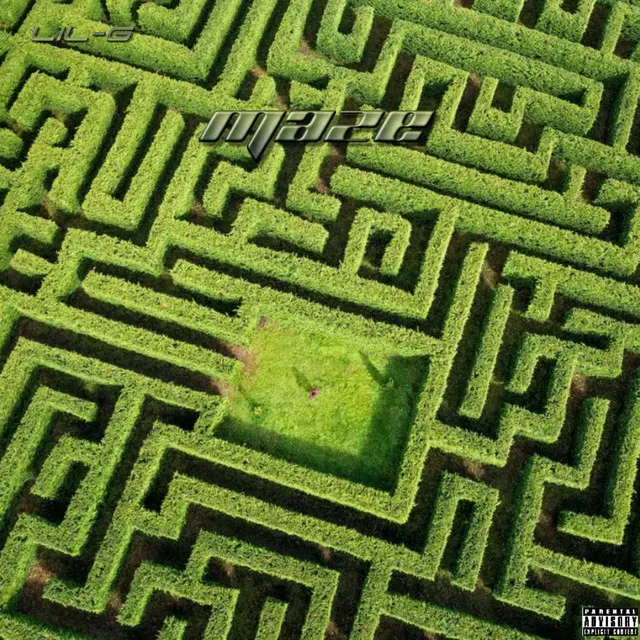 Maze