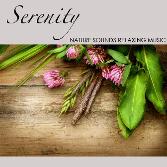 Serenity: Nature Sounds Piano, Cello & Flute Relaxing Music by Meditation Relax Club