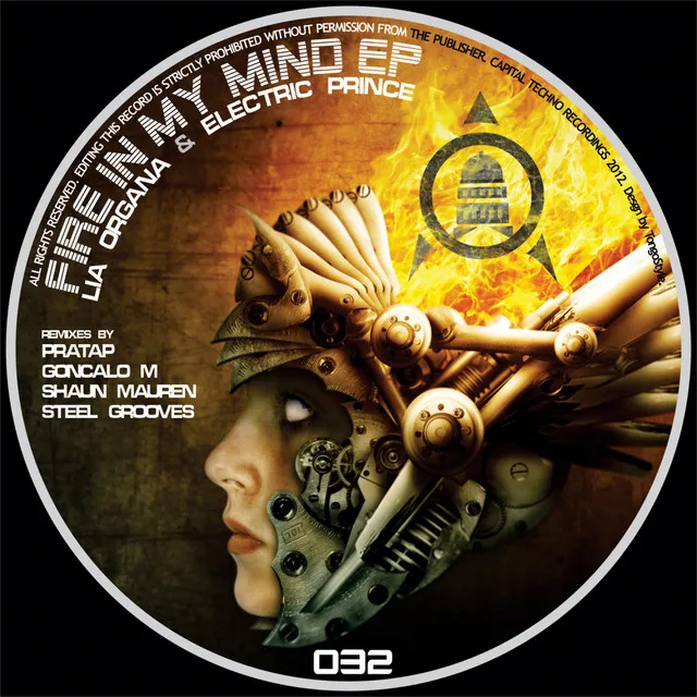 Fire In My Mind - Steel Grooves Remix