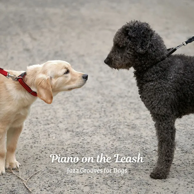 Piano on the Leash: Jazz Grooves for Dogs