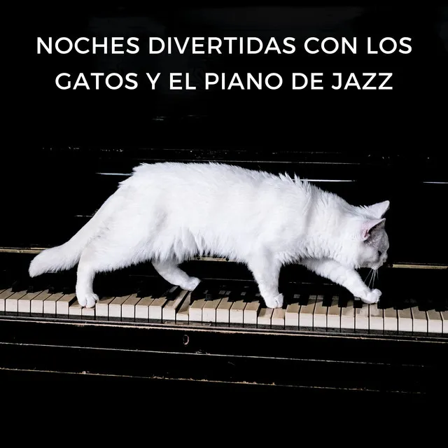 Noches Divertidas Con Los Gatos Y El Piano De Jazz