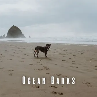 Ocean Barks: Enchanting Insects and Chill Music for Dogs by Night Crickets