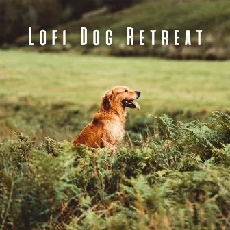 Lofi Dog Retreat: Mellow Beats for Relaxing with Your Pup by Relaxing Dog Music