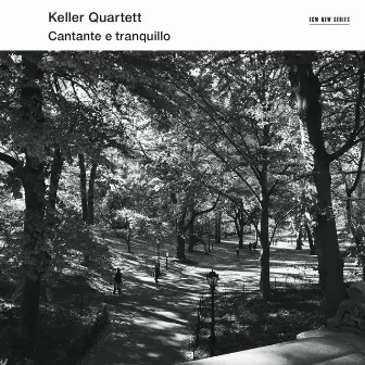 Cantante E Tranquillo by Keller Quartett