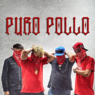 Puro Pollo by Angel Gamb