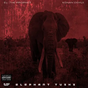 Elephant Tusks by Eli the Prophet