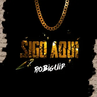 SIGO AQUI by Robi Guid