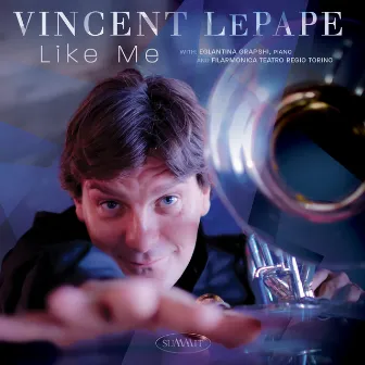 Like Me by Vincent LePape