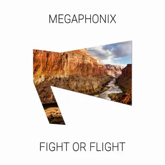 Fight or Flight by Megaphonix