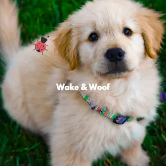 Wake & Woof by Musica para Perros