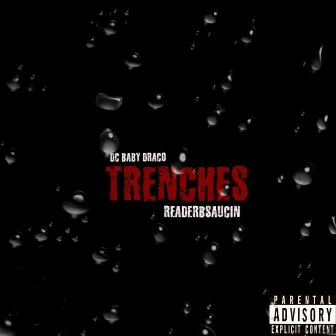 Trenches by Unknown Artist