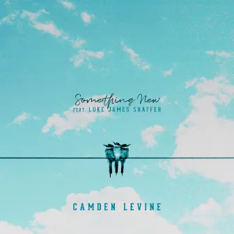 Something New by Camden Levine