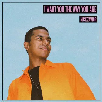 I Want You the Way You Are by Nick Zavior