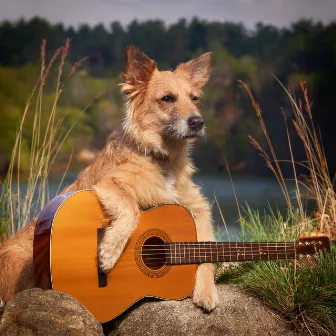 Forest Guitar Melodies: Relaxing Tunes for Dogs by 