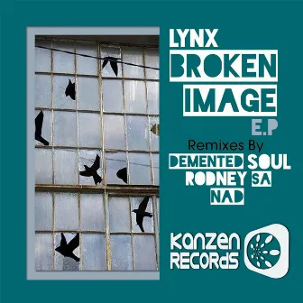 Broken Image by Lynx