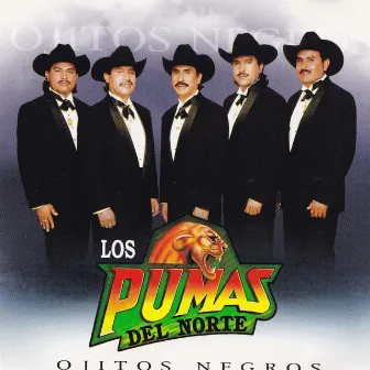 Ojitos Negros by Los Pumas Del Norte